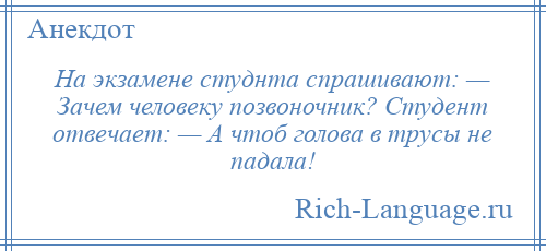 
    На экзамене студнта спрашивают: — Зачем человеку позвоночник? Студент отвечает: — А чтоб голова в трусы не падала!