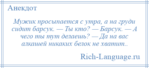 
    Мужик просыпается с утра, а на груди сидит барсук. — Ты кто? — Барсук. — А чего ты тут делаешь? — Да на вас алкашей никаких белок не хватит..