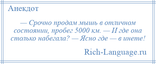 
    — Срочно продам мышь в отличном состоянии, пробег 5000 км. — И где она столько набегала? — Ясно где — в инете!