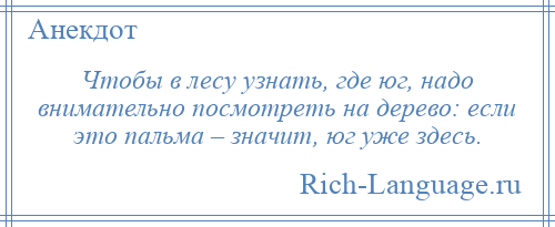 
    Чтобы в лесу узнать, где юг, надо внимательно посмотреть на дерево: если это пальма – значит, юг уже здесь.