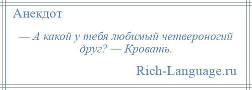 
    — А какой у тебя любимый четвероногий друг? — Кровать.