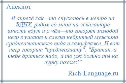 
    В апреле как—то спускаюсь в метро на ВДНХ, рядом со мной на эскалаторе вместе едут и о чём—то говорят молодой негр в ушанке и слегка небритый мужчина среднеазиатского вида в камуфляже. И вот негр говорит среднеазиату : Братан, а тебе бриться надо, а то уж больно ты на чурку похож! 