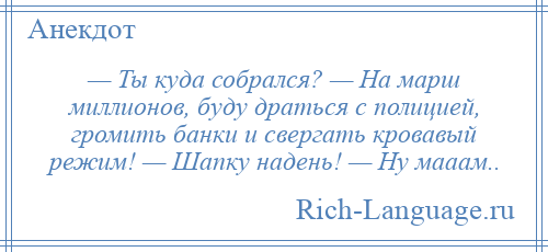 
    — Ты куда собрался? — На марш миллионов, буду драться с полицией, громить банки и свергать кровавый режим! — Шапку надень! — Ну мааам..