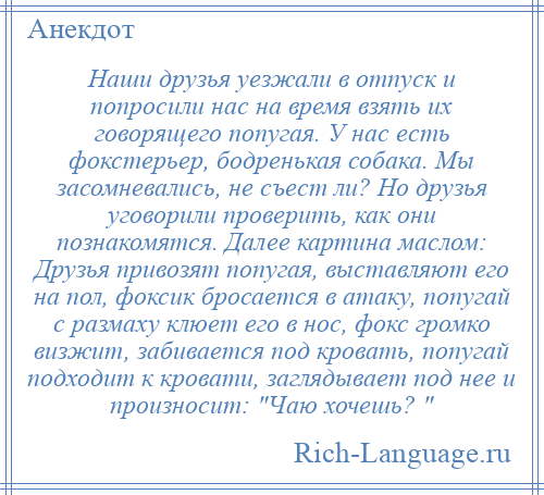 
    Наши друзья уезжали в отпуск и попросили нас на время взять их говорящего попугая. У нас есть фокстерьер, бодренькая собака. Мы засомневались, не съест ли? Но друзья уговорили проверить, как они познакомятся. Далее картина маслом: Друзья привозят попугая, выставляют его на пол, фоксик бросается в атаку, попугай с размаху клюет его в нос, фокс громко визжит, забивается под кровать, попугай подходит к кровати, заглядывает под нее и произносит: Чаю хочешь? 