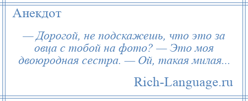 
    — Дорогой, не подскажешь, что это за овца с тобой на фото? — Это моя двоюродная сестра. — Ой, такая милая...