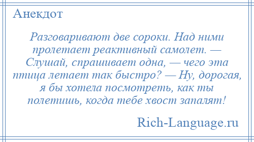 
    Разговаривают две сороки. Над ними пролетает реактивный самолет. — Слушай, спрашивает одна, — чего эта птица летает так быстро? — Ну, дорогая, я бы хотела посмотреть, как ты полетишь, когда тебе хвост запалят!