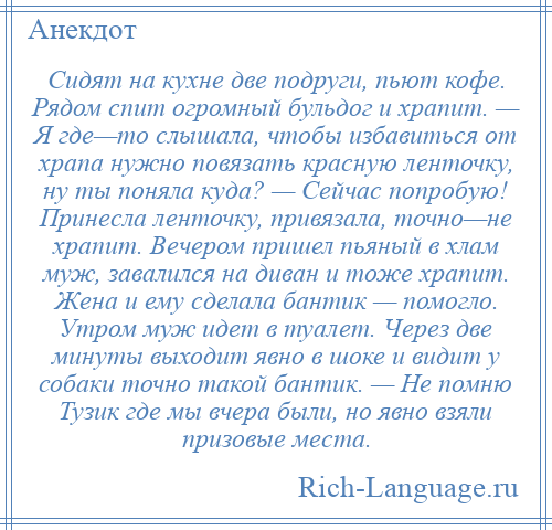 
    Сидят на кухне две подруги, пьют кофе. Рядом спит огромный бульдог и храпит. — Я где—то слышала, чтобы избавиться от храпа нужно повязать красную ленточку, ну ты поняла куда? — Сейчас попробую! Принесла ленточку, привязала, точно—не храпит. Вечером пришел пьяный в хлам муж, завалился на диван и тоже храпит. Жена и ему сделала бантик — помогло. Утром муж идет в туалет. Через две минуты выходит явно в шоке и видит у собаки точно такой бантик. — Не помню Тузик где мы вчера были, но явно взяли призовые места.