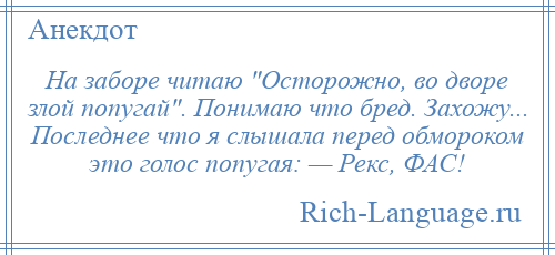 
    На заборе читаю Осторожно, во дворе злой попугай . Понимаю что бред. Захожу... Последнее что я слышала перед обмороком это голос попугая: — Рекс, ФАС!