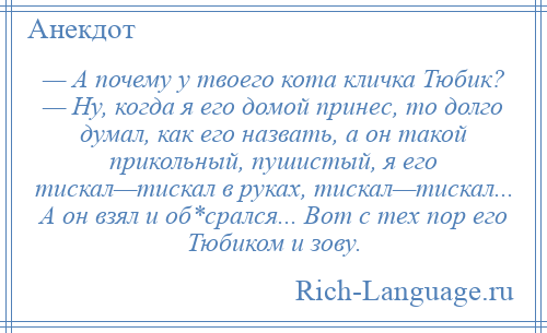 
    — А почему у твоего кота кличка Тюбик? — Ну, когда я его домой принес, то долго думал, как его назвать, а он такой прикольный, пушистый, я его тискал—тискал в руках, тискал—тискал... А он взял и об*срался... Вот с тех пор его Тюбиком и зову.