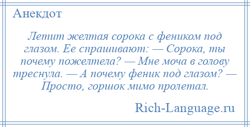 
    Летит желтая сорока с феником под глазом. Ее спрашивают: — Сорока, ты почему пожелтела? — Мне моча в голову треснула. — А почему феник под глазом? — Просто, горшок мимо пролетал.