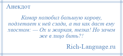 
    Комар полюбил большую корову, подлетает к ней сзади, а та как даст ему хвостом: — Ох и жаркая, телка! Но зачем же в лицо бить?!