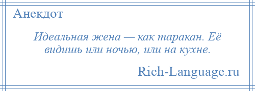 
    Идеальная жена — как таракан. Её видишь или ночью, или на кухне.