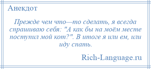 
    Прежде чем что—то сделать, я всегда спрашиваю себя: А как бы на моём месте поступил мой кот? . В итоге я или ем, или иду спать.