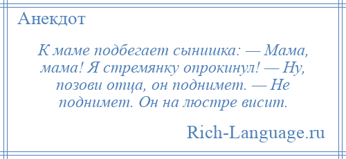 
    К маме подбегает сынишка: — Мама, мама! Я стремянку опрокинул! — Ну, позови отца, он поднимет. — Не поднимет. Он на люстре висит.