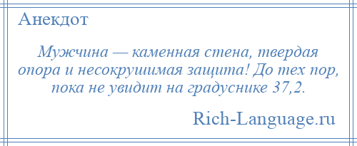 
    Мужчина — каменная стена, твердая опора и несокрушимая защита! До тех пор, пока не увидит на градуснике 37,2.