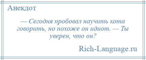 
    — Сегодня пробовал научить кота говорить, но похоже он идиот. — Ты уверен, что он?