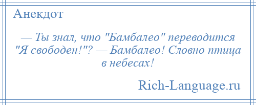 
    — Ты знал, что Бамбалео переводится Я свободен! ? — Бамбалео! Словно птица в небесах!