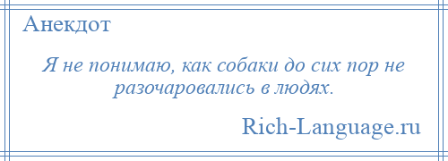 
    Я не понимаю, как собаки до сих пор не разочаровались в людях.