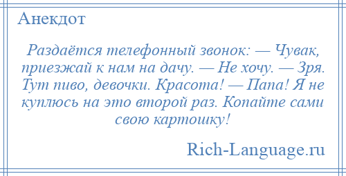 
    Раздаётся телефонный звонок: — Чувак, приезжай к нам на дачу. — Не хочу. — Зря. Тут пиво, девочки. Красота! — Папа! Я не куплюсь на это второй раз. Копайте сами свою картошку!