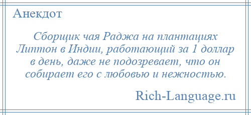 
    Сборщик чая Раджа на плантациях Липтон в Индии, работающий за 1 доллар в день, даже не подозревает, что он собирает его с любовью и нежностью.