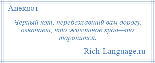 
    Черный кот, перебежавший вам дорогу, означает, что животное куда—то торопится.