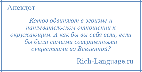 
    Котов обвиняют в эгоизме и наплевательском отношении к окружающим. А как бы вы себя вели, если бы были самыми совершенными существами во Вселенной?