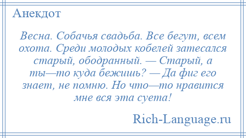 
    Весна. Собачья свадьба. Все бегут, всем охота. Среди молодых кобелей затесался старый, ободранный. — Старый, а ты—то куда бежишь? — Да фиг его знает, не помню. Но что—то нравится мне вся эта суета!