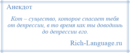 
    Кот – существо, которое спасает тебя от депрессии, в то время как ты доводишь до депрессии его.