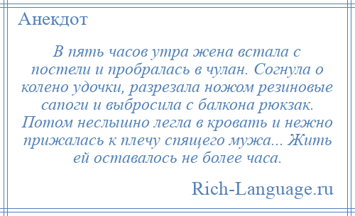 
    В пять часов утра жена встала с постели и пробралась в чулан. Согнула о колено удочки, разрезала ножом резиновые сапоги и выбросила с балкона рюкзак. Потом неслышно легла в кровать и нежно прижалась к плечу спящего мужа... Жить ей оставалось не более часа.