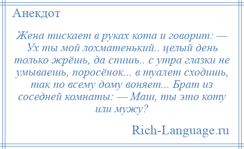 
    Жена тискает в руках кота и говорит: — Ух ты мой лохматенький.. целый день только жрёшь, да спишь.. с утра глазки не умываешь, поросёнок... в туалет сходишь, так по всему дому воняет... Брат из соседней комнаты: — Маш, ты это коту или мужу?