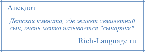 
    Детская комната, где живет семилетний сын, очень метко называется сынарник .