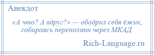 
    «А что? А вдруг?» — ободрил себя ёжик, собираясь переползти через МКАД.