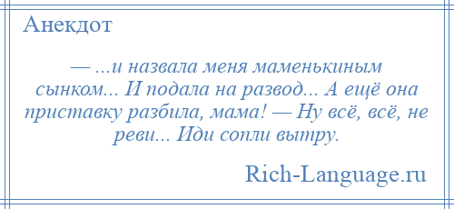 
    — ...и назвала меня маменькиным сынком... И подала на развод... А ещё она приставку разбила, мама! — Ну всё, всё, не реви... Иди сопли вытру.