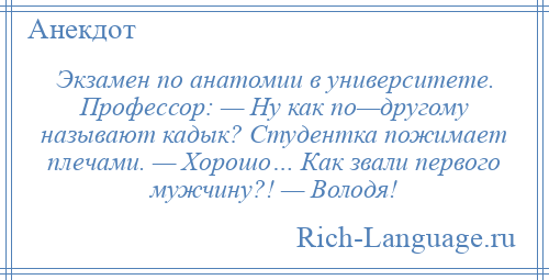 
    Экзамен по анатомии в университете. Профессор: — Ну как по—другому называют кадык? Студентка пожимает плечами. — Хорошо… Как звали первого мужчину?! — Володя!