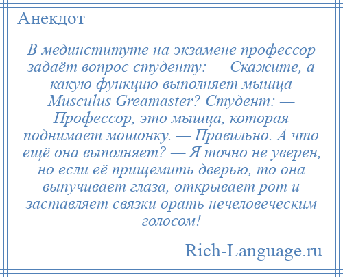 
    В мединституте на экзамене профессор задаёт вопрос студенту: — Скажите, а какую функцию выполняет мышца Musculus Greamaster? Студент: — Профессор, это мышца, которая поднимает мошонку. — Правильно. А что ещё она выполняет? — Я точно не уверен, но если её прищемить дверью, то она выпучивает глаза, открывает рот и заставляет связки орать нечеловеческим голосом!