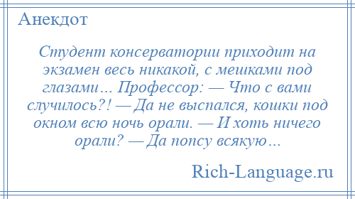 
    Студент консерватории приходит на экзамен весь никакой, с мешками под глазами… Профессор: — Что с вами случилось?! — Да не выспался, кошки под окном всю ночь орали. — И хоть ничего орали? — Да попсу всякую…