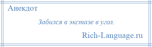 
    Забился в экстазе в угол.