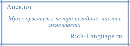 
    Муму, чувствуя с вечера неладное, наелась пенопласта