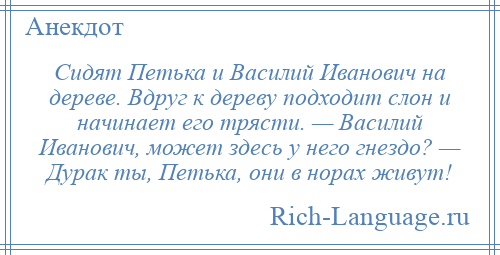 
    Сидят Петька и Василий Иванович на дереве. Вдруг к дереву подходит слон и начинает его трясти. — Василий Иванович, может здесь у него гнездо? — Дурак ты, Петька, они в норах живут!