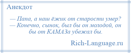 
    — Папа, а наш ёжик от старости умер? — Конечно, сынок, был бы он молодой, он бы от КАМАЗа убежал бы.