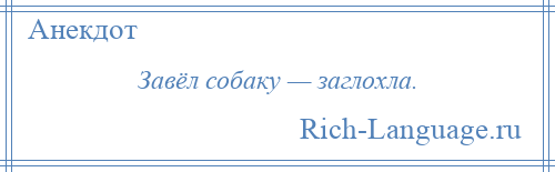 
    Завёл собаку — заглохла.