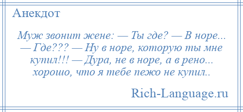 
    Муж звонит жене: — Ты где? — В норе... — Где??? — Ну в норе, которую ты мне купил!!! — Дура, не в норе, а в рено... хорошо, что я тебе пежо не купил..