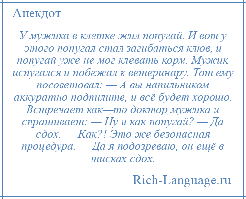 
    У мужика в клетке жил попугай. И вот у этого попугая стал загибаться клюв, и попугай уже не мог клевать корм. Мужик испугался и побежал к ветеринару. Тот ему посоветовал: — А вы напильником аккуратно подпилите, и всё будет хорошо. Встречает как—то доктор мужика и спрашивает: — Ну и как попугай? — Да сдох. — Как?! Это же безопасная процедура. — Да я подозреваю, он ещё в тисках сдох.