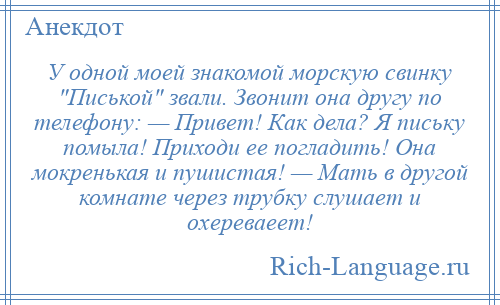 
    У одной моей знакомой морскую свинку Писькой звали. Звонит она другу по телефону: — Привет! Как дела? Я письку помыла! Приходи ее погладить! Она мокренькая и пушистая! — Мать в другой комнате через трубку слушает и охереваеет!