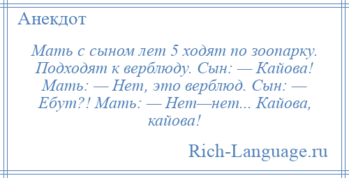 
    Мать с сыном лет 5 ходят по зоопарку. Подходят к верблюду. Сын: — Кайова! Мать: — Нет, это верблюд. Сын: — Ебут?! Мать: — Нет—нет... Кайова, кайова!