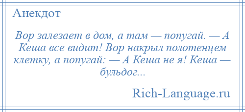 
    Вор залезает в дом, а там — попугай. — А Кеша все видит! Вор накрыл полотенцем клетку, а попугай: — А Кеша не я! Кеша — бульдог...