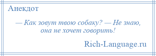 
    — Как зовут твою собаку? — Не знаю, она не хочет говорить!