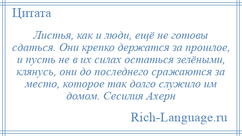 
    Листья, как и люди, ещё не готовы сдаться. Они крепко держатся за прошлое, и пусть не в их силах остаться зелёными, клянусь, они до последнего сражаются за место, которое так долго служило им домом. Сесилия Ахерн