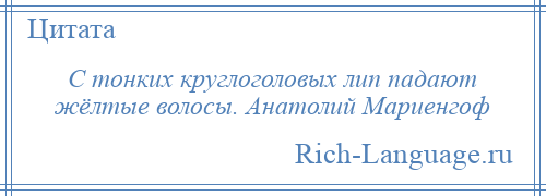 
    С тонких круглоголовых лип падают жёлтые волосы. Анатолий Мариенгоф