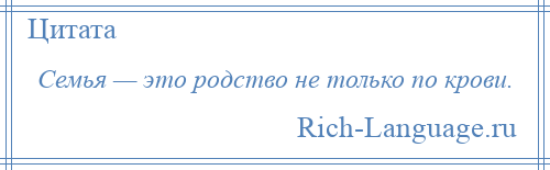 
    Семья — это родство не только по крови.